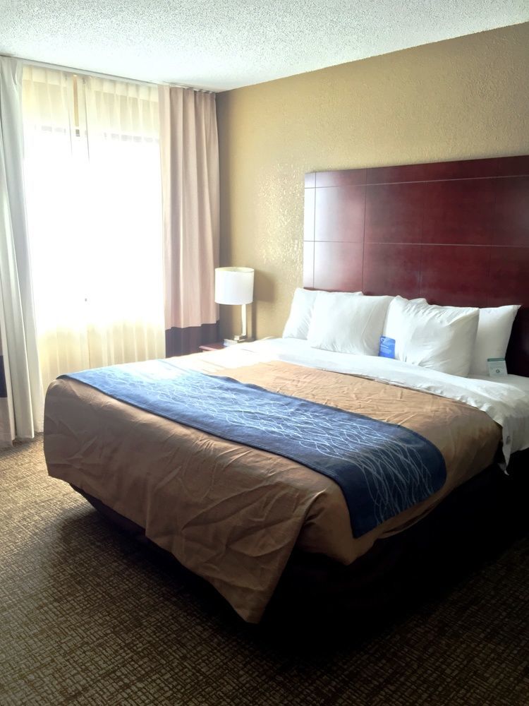 Comfort Inn Atlanta Downtown South Exterior foto