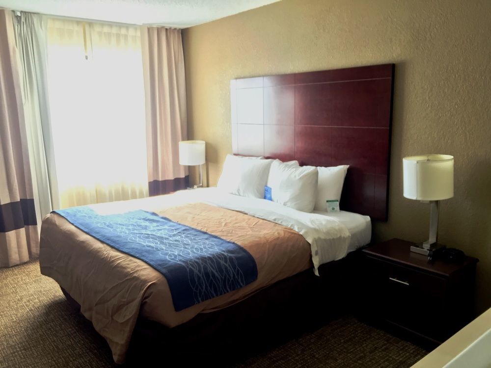 Comfort Inn Atlanta Downtown South Exterior foto